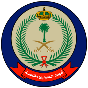 emblem_of_special_emergency_force